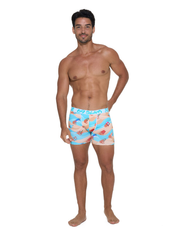 BOXER DYLAN WRONG HOUSE