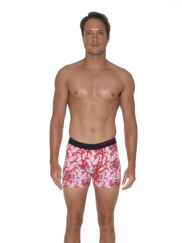 BOXER DYLAN CHINESE DRAGON - Imagen 1