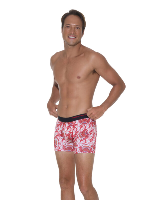 BOXER DYLAN CHINESE DRAGON - Imagen 2