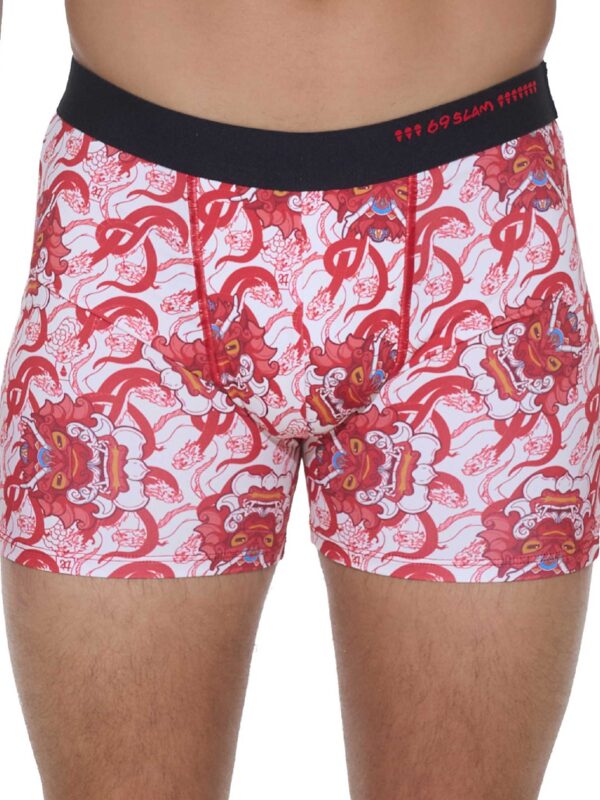 BOXER DYLAN CHINESE DRAGON