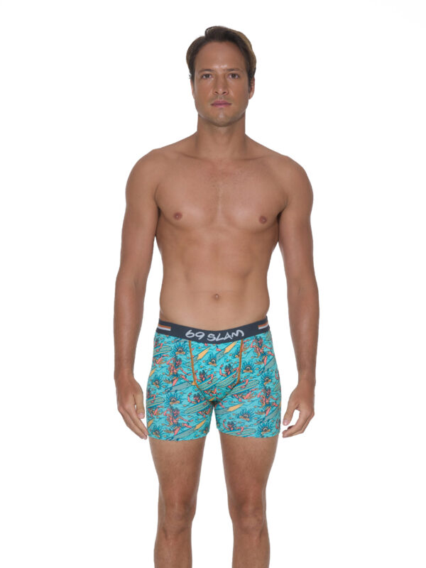 BOXER DYLAN WAYANG WANARA - Imagen 2