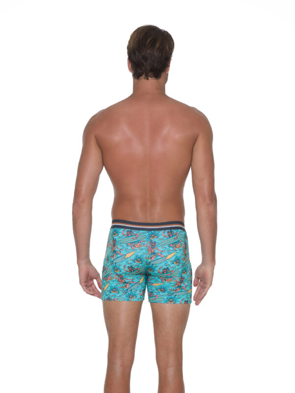 BOXER DYLAN WAYANG WANARA - Imagen 5